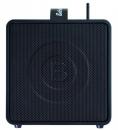 BWPA-30W