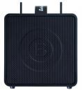 BWPA-40W